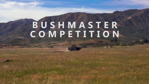 Bushmaster Competition 26