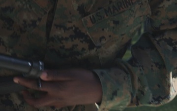 2nd Marine Logistics Group Warrior festival and Hike