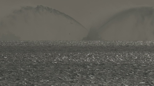 Fleet Week Houston Sunrise Salute