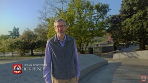 Living Monuments: Arlington’s Tree Witness History