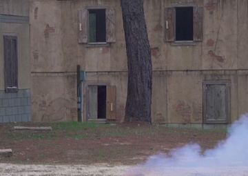 101st "Rakkasans" Soldiers Assault an Urban Training Village at JRTC (2 of 4)