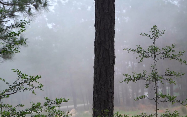 101st "Rakkasans" Soldiers Assault an Urban Training Village at JRTC (4 of 4)