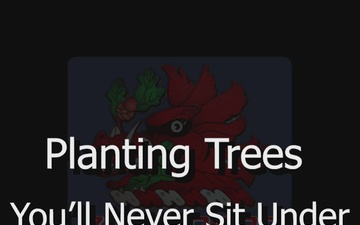 Tone from the Top - "Planting Trees You'll Never Sit Under"