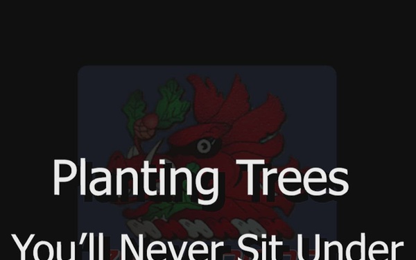 Tone from the Top - "Planting Trees You'll Never Sit Under"