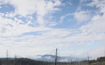 Reforestation Timelapse Reel