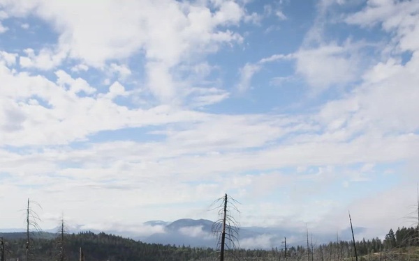 Reforestation Timelapse Reel