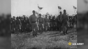 1st Cavalry Division of Choice Commercial