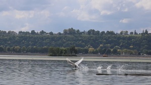 One step at a time: John Henderson’s journey with the St. Paul District on the Upper Mississippi River