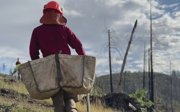 Mendocino National Forest Reforestation Reel 1