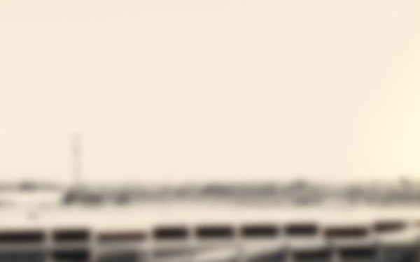 Foundations - Loretta Parks-Twillie