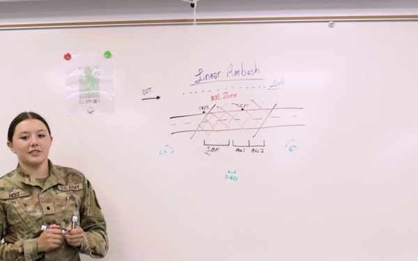 Jordyn Hoit | Limitless Future