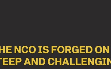 Warfighter Chronicles: The Profession of the Sergeant Major