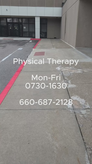 Physical Therapy Videos
