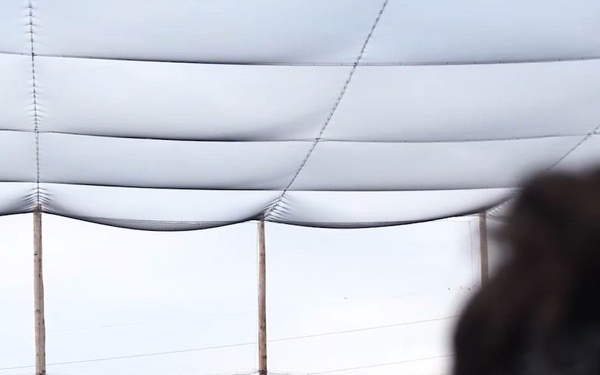 Social 4x5: 101st Airborne Division Unit Highlight - Freedom 250