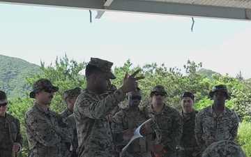 Combat Logistics Regiment 35 Marines and Sailors conduct live-fire training BROLL
