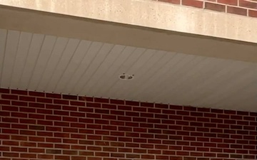 Mountain Wellness Month Spotlight: Army Substance Abuse Program (ASAP)