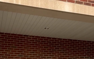 Mountain Wellness Month Spotlight: Family Advocacy Program (FAP)