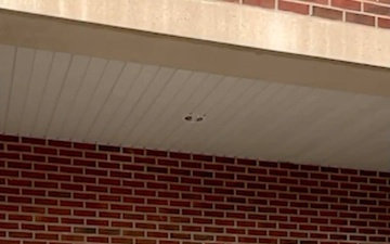 Mountain Wellness Month Spotlight: Fort Drum’s Exceptional Family Member Program (EFMP)