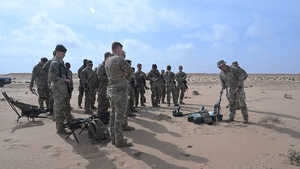 B-roll: 173rd Airborne Brigade combat engineers sharpen IED detection, threat mitigation skills