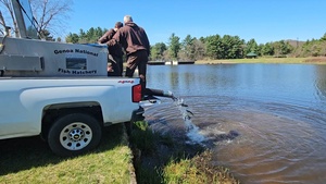 U.S. Fish and Wildlife Service personnel stock trout at Fort McCoy for 2026, Part 1