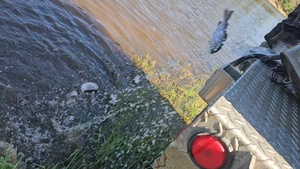 U.S. Fish and Wildlife Service personnel stock trout at Fort McCoy for 2026, Part 2