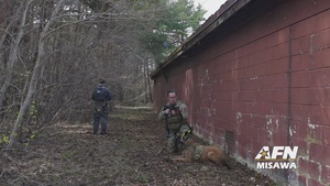 Bilateral K9 Training