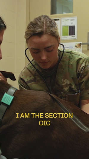 Field Veterinary Officer - Be All You Can Be Reel