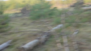 British 1st Aviation Brigade Reacts to Contact
