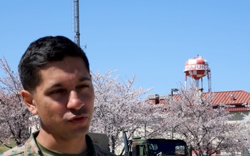 3/12 Bravo Battery Interview