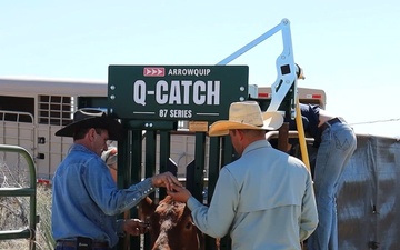 Cattle Permittee Collars Livestock for Fire Mitigation