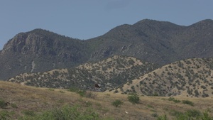 JTF-SB service members launch day seven of intensive air assault training