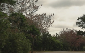 U.S. Marines with Truck Company conduct force on force platoon attacks B-Roll