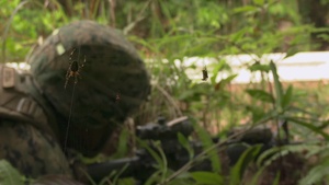U.S. Marines with Truck Company conduct force on force platoon attacks B-Roll