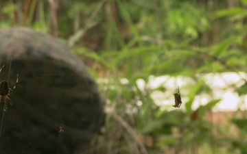 U.S. Marines with Truck Company conduct force on force platoon attacks B-Roll
