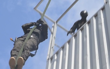 Obangame Express 2026 participants demonstrate Visit, Board, Search and Seizure capabilities