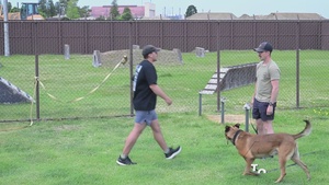 Pacific Update - 374th SFS MWD 'Splash' Retirement Disposition Video