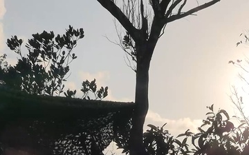 Balikatan 2026: U.S. Marines with MRF-D 26 fire FIM-92 Stinger missiles