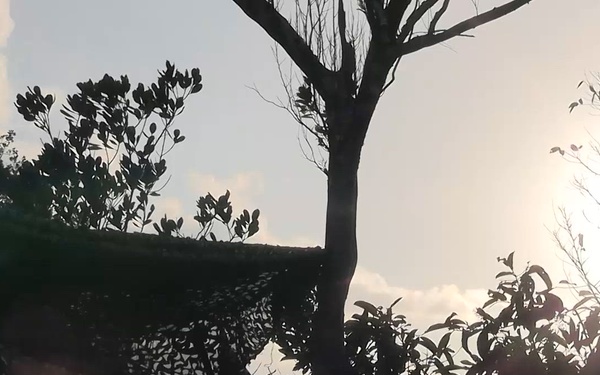 Balikatan 2026: U.S. Marines with MRF-D 26 fire FIM-92 Stinger missiles