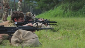 Allied and Partner Forces Conduct M4A1 Carbine Zero and Qualification at Schofield Barracks