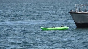 Coast Guard Paddle Smart ID Sticker - PSA