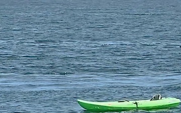 Coast Guard Paddle Smart ID Sticker - PSA