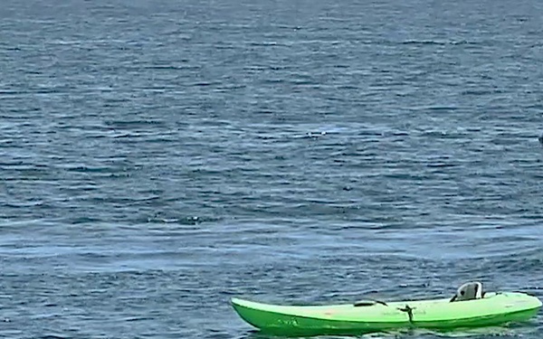 Coast Guard Paddle Smart ID Sticker - PSA