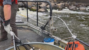 USACE, partners advance fish passage and water quality efforts along Cape Fear River