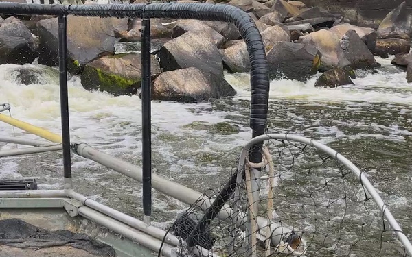 USACE, partners advance fish passage and water quality efforts along Cape Fear River