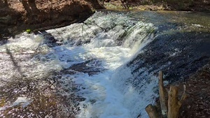 April 2026 views at Trout Falls in Fort McCoy's Pine View Recreation Area, Part 2