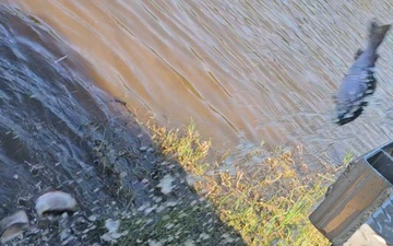U.S. Fish and Wildlife Service stocks trout at Fort McCoy for 2025, Part 3
