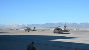 Exercise Wolverine B-roll