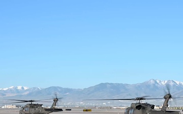 Exercise Wolverine B-roll