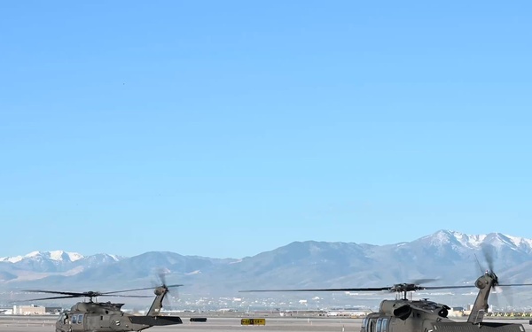 Exercise Wolverine B-roll