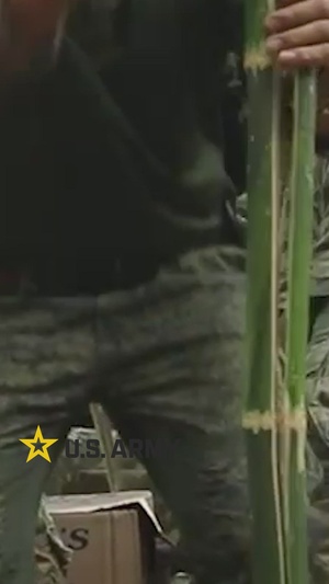 Balikatan 2026: U.S. Soldiers and Armed Forces of Philippines conduct Jungle Training (Reel)